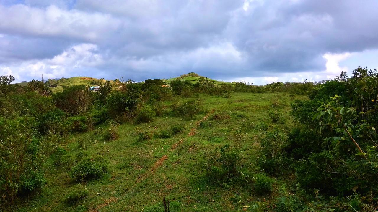 Vagamon Clouds Otel Dış mekan fotoğraf